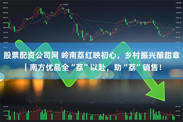 股票配资公司网 岭南荔红映初心，乡村振兴酿甜章｜南方优品全“荔”以赴，助“荔”销售！