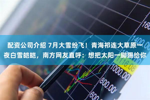 配资公司介绍 7月大雪纷飞！青海祁连大草原一夜白雪皑皑，南方网友直呼：想把太阳一脚踢给你