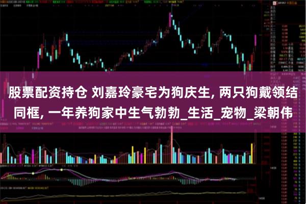股票配资持仓 刘嘉玲豪宅为狗庆生, 两只狗戴领结同框, 一年养狗家中生气勃勃_生活_宠物_梁朝伟
