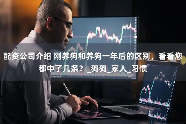 配资公司介绍 刚养狗和养狗一年后的区别，看看您都中了几条？_狗狗_家人_习惯
