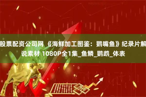 股票配资公司网 《海鲜加工图鉴：鹦嘴鱼》纪录片解说素材 1080P全1集_鱼鳞_鹦鹉_体表