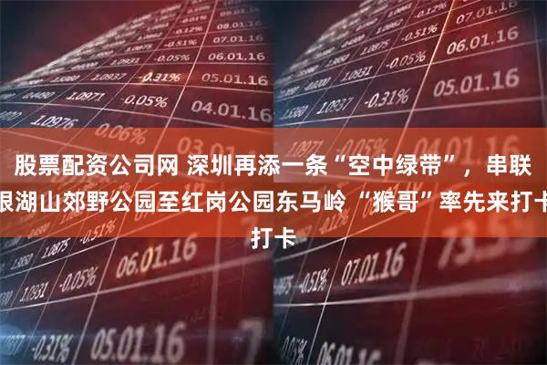 股票配资公司网 深圳再添一条“空中绿带”，串联银湖山郊野公园至红岗公园东马岭 “猴哥”率先来打卡