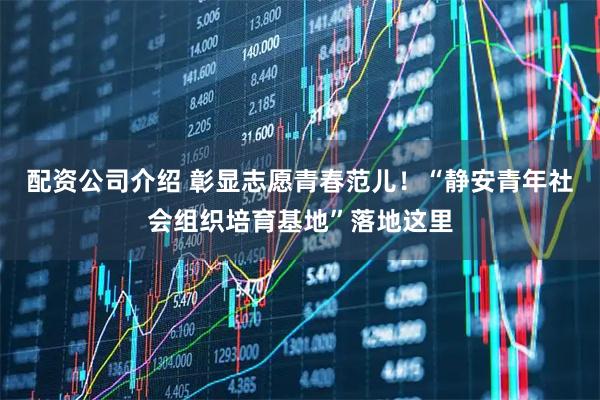 配资公司介绍 彰显志愿青春范儿!“静安青年社会组织培育基地”落地这里