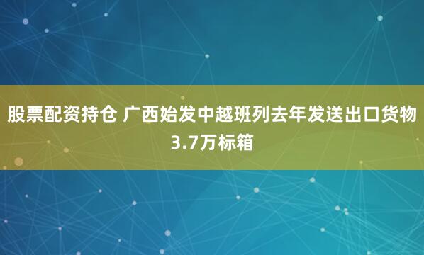 股票配资持仓 广西始发中越班列去年发送出口货物3.7万标箱